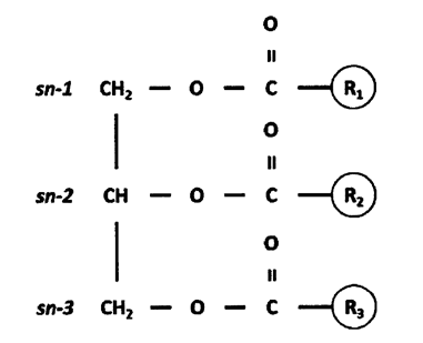 sn-2棕榈酸图片