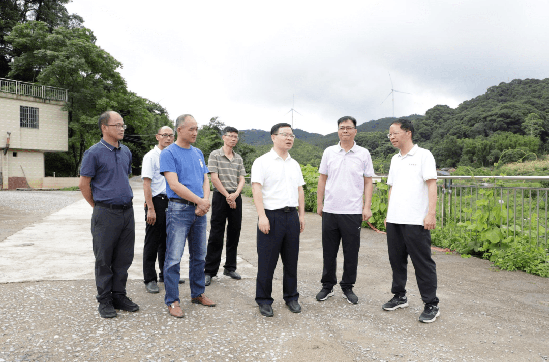 江红平一行先后到上小洞水库,羊角山省级森林公园示范点,石角镇三八村
