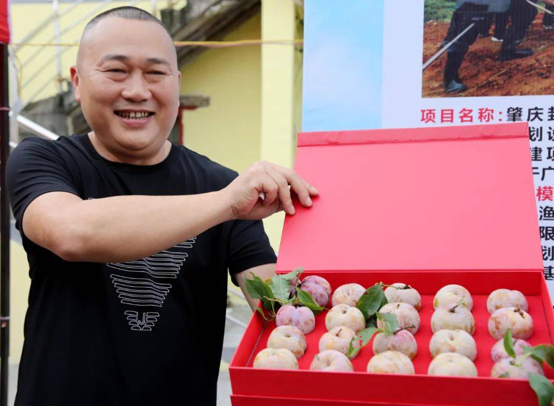 近日,广东电视台主持人王茗心专门来到封开麒麟山上,亲尝一口最新鲜