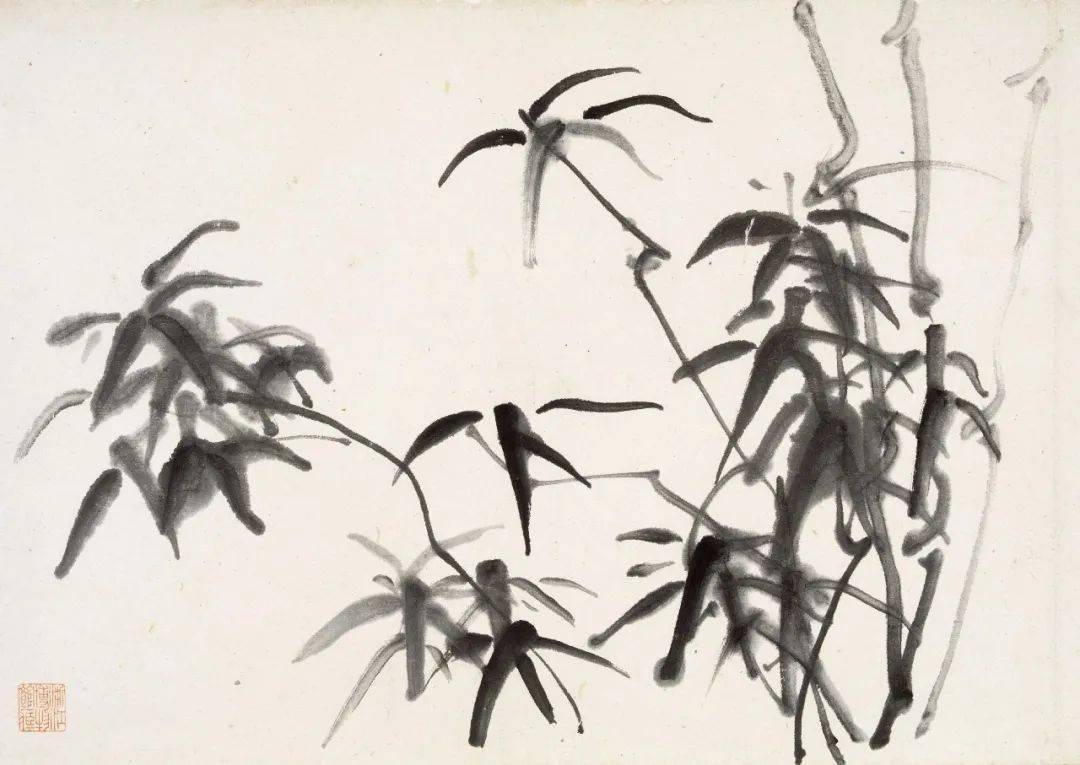 黄宾虹的花鸟画“风致妍雅，有水流花放之妙”_局部_cm_花卉