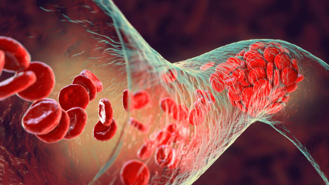 红细胞_情况_骨髓