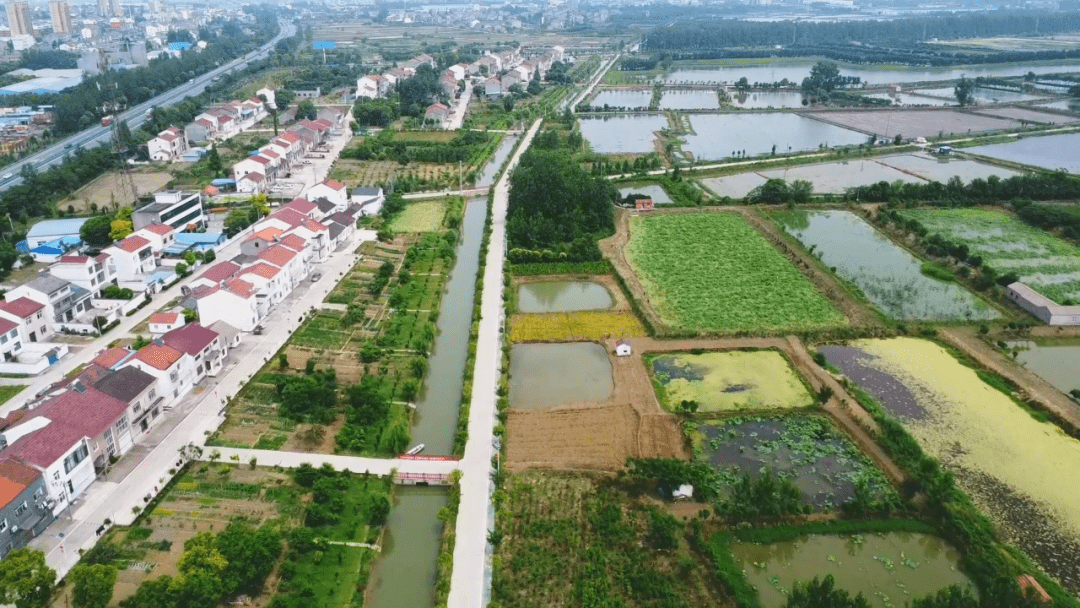 沙市区这3个村入选_示范_湖北省_东湖村