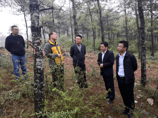 省林检局赴昭通调研林检队伍建设和林草有害生物防治工作_监测_防控