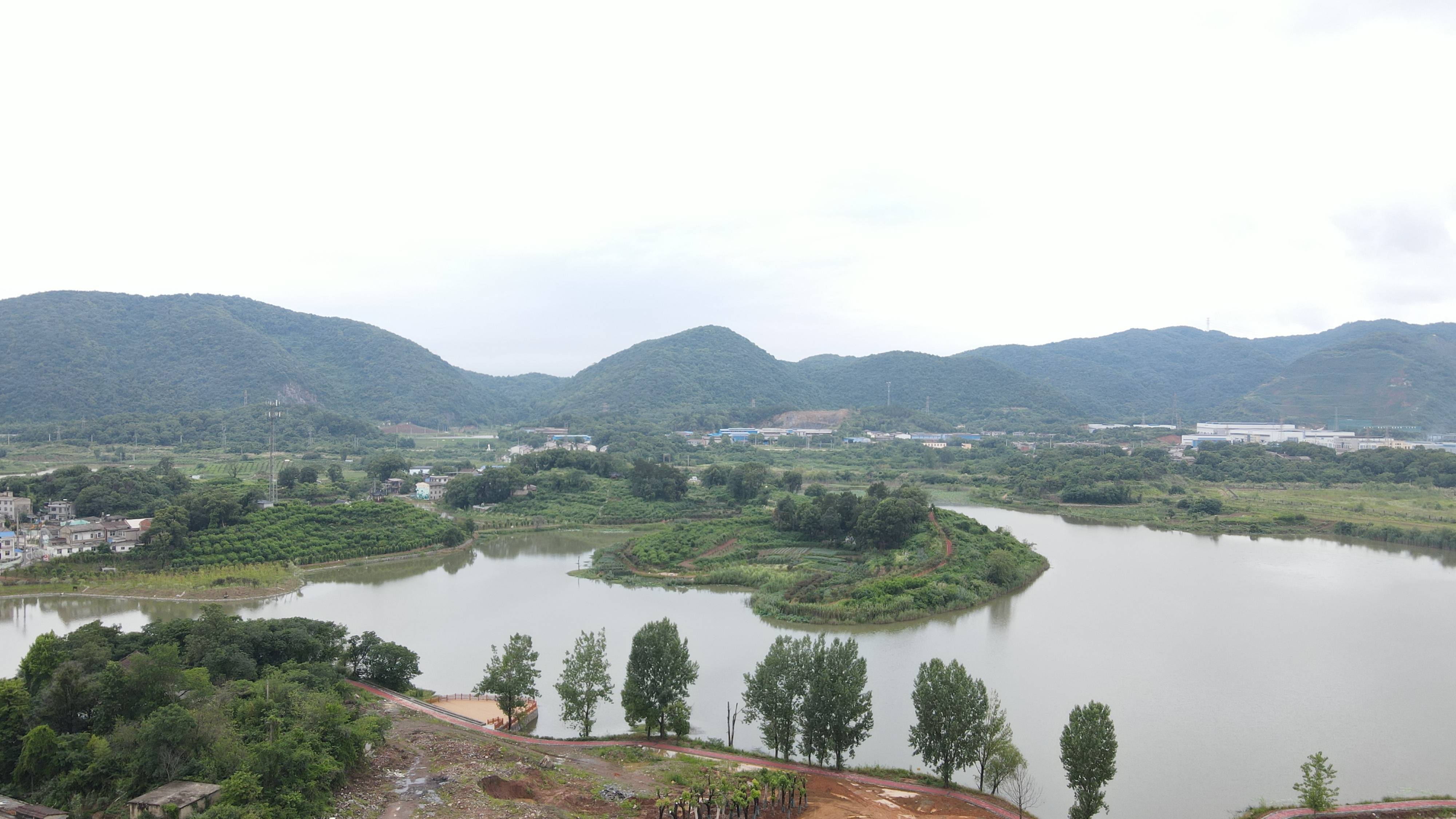 黄石重现西塞山前白鹭飞:黑臭湖变网红打卡地,带动村民增收_夏浴湖_黄