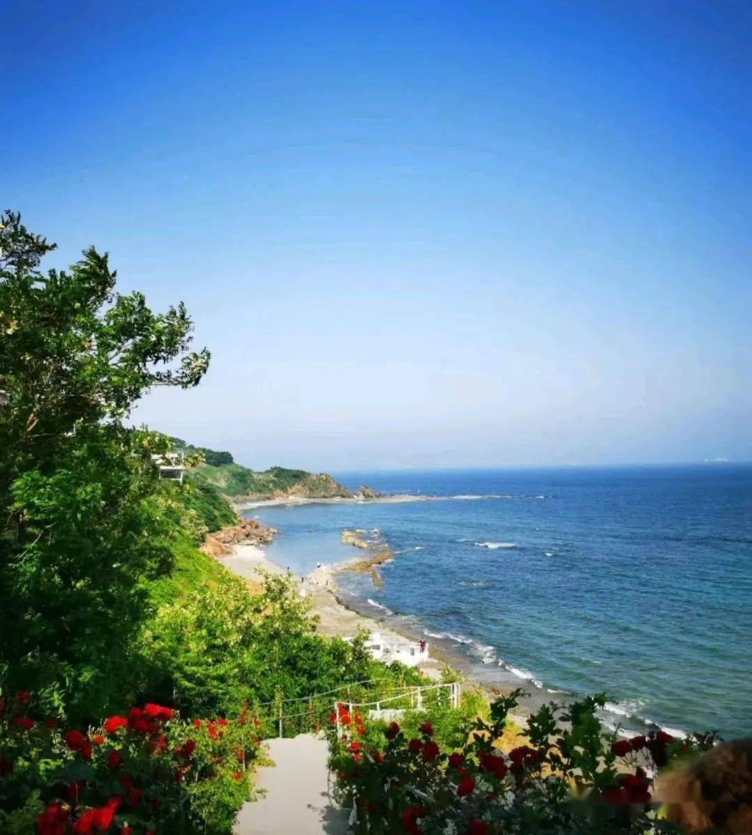 7月2日周日大连碧海山庄 红海滩美拍纯玩1日活动(含午餐)_行程_费用