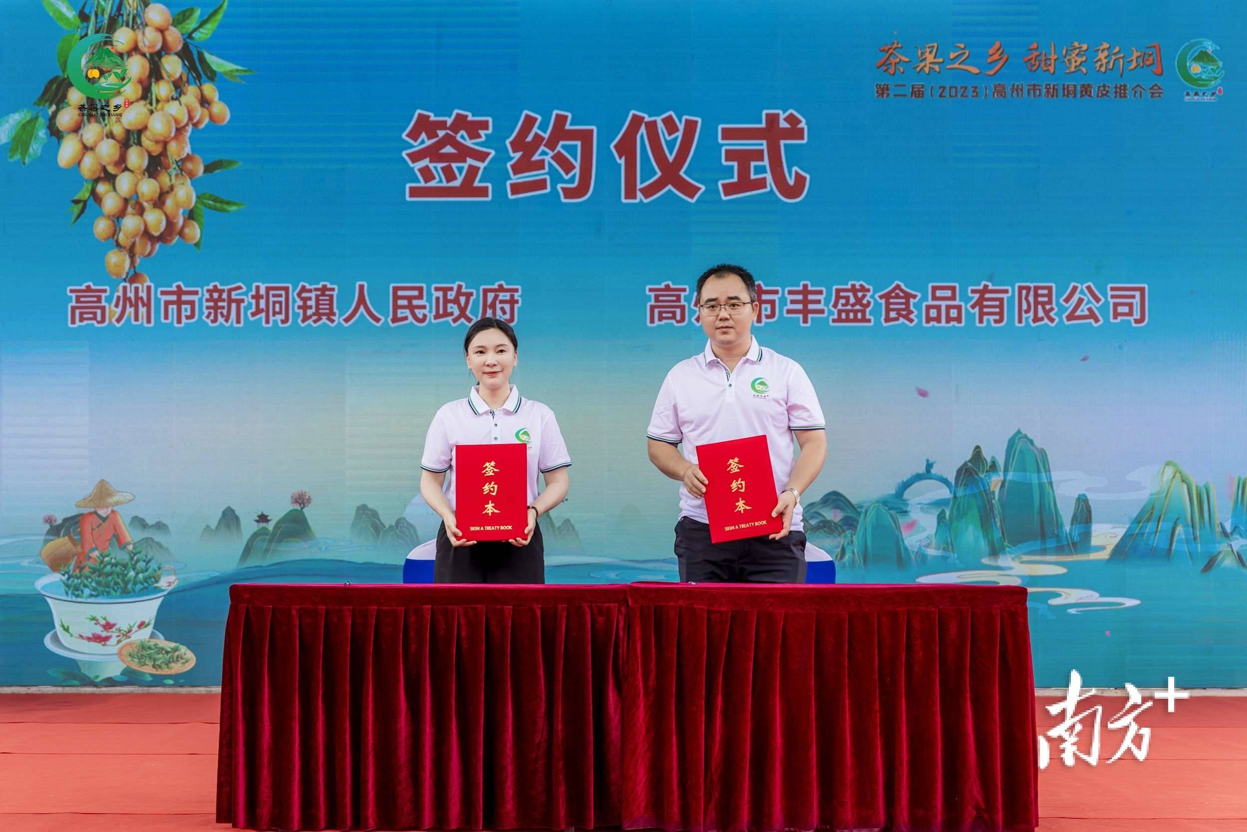 新垌镇_高州市_种植