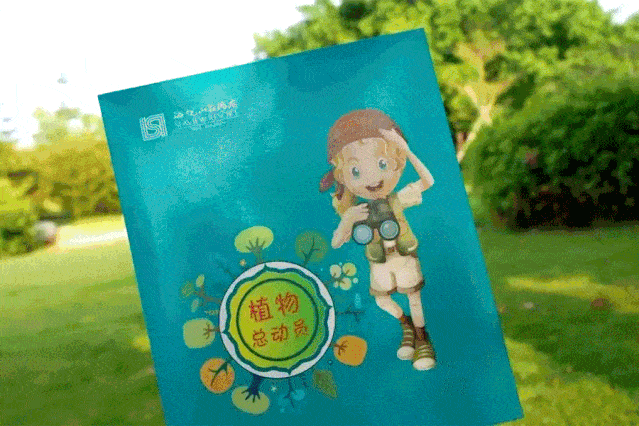 别人去厦门费心费力跑去打卡的挖沙,漫步,骑行,住在海悦轻松达成.