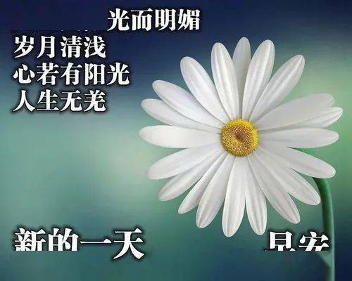 新款早上好图片大全，今天早上好图片最新-早上好的新图片大全动态
