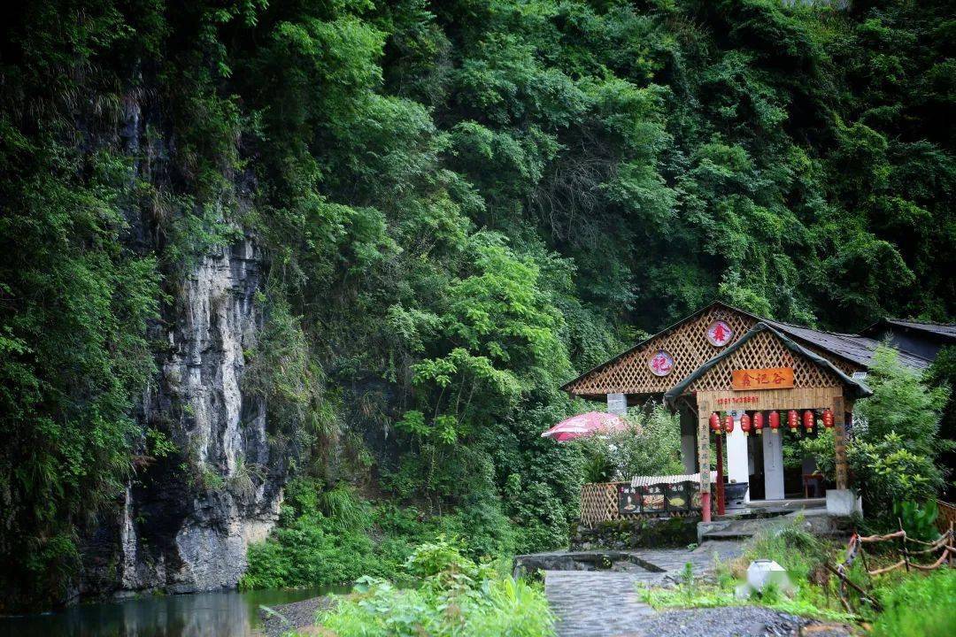 夏日好时光,在吉首小溪村的宁静中享受端午假期_郭晓芳_初审_田野