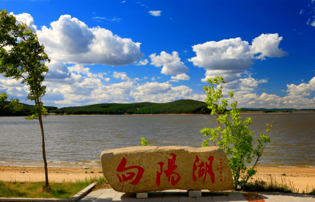 桦南向阳湖风景区门票图片