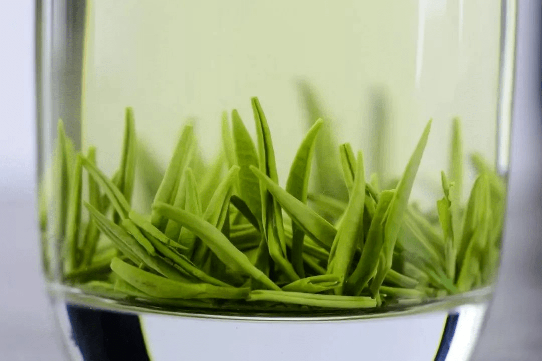 茶香中国 | 天山饮绿茶,万物自然香_闽东_宁德_茶叶