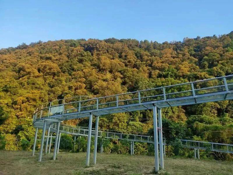 【肇庆黄金沟】6月24日 畅玩峡谷溯溪 走黄金大道高空索桥 打卡砚阳湖