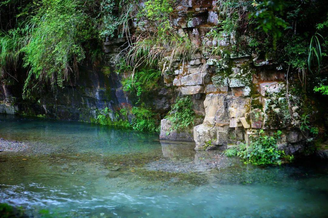 夏日好时光,在吉首小溪村的宁静中享受端午假期_郭晓芳_初审_田野