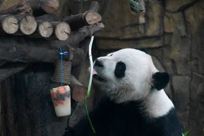 贵阳水族馆发“订制粽子”啦！都有什么样馅？