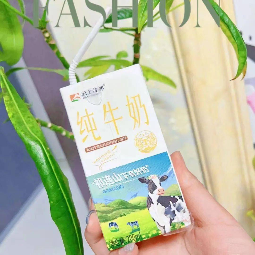 2g蛋白 日期新鲜祁连山小飞天纯牛奶宝宝们都爱喝!