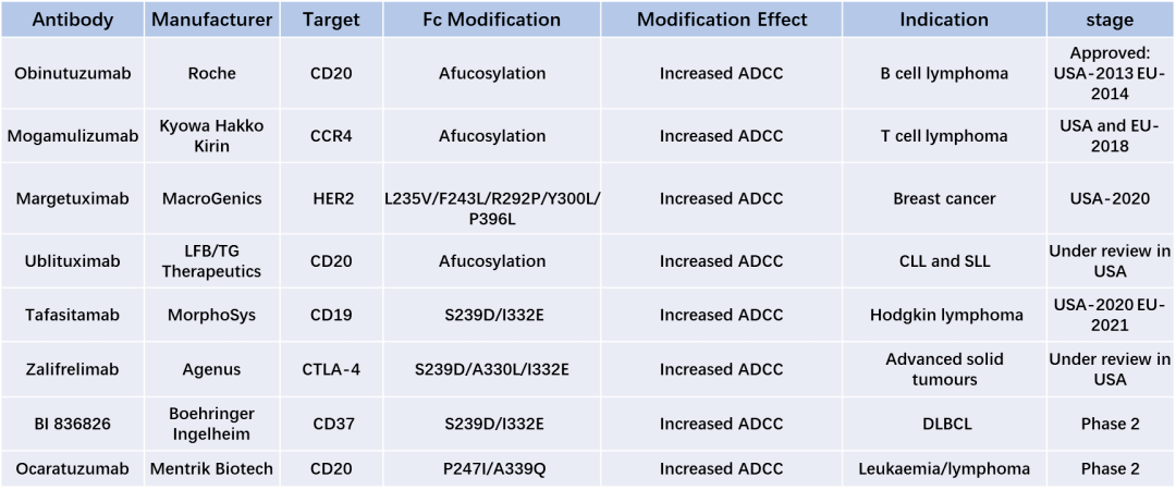 增强adcc/adcp效应的三种技术策略_抗体_细胞_研究