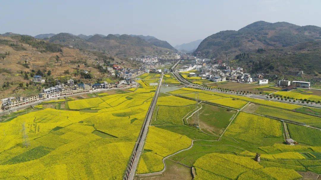 茅坝是国家卫生乡镇,全镇区域范围内干干净净,清清爽爽.