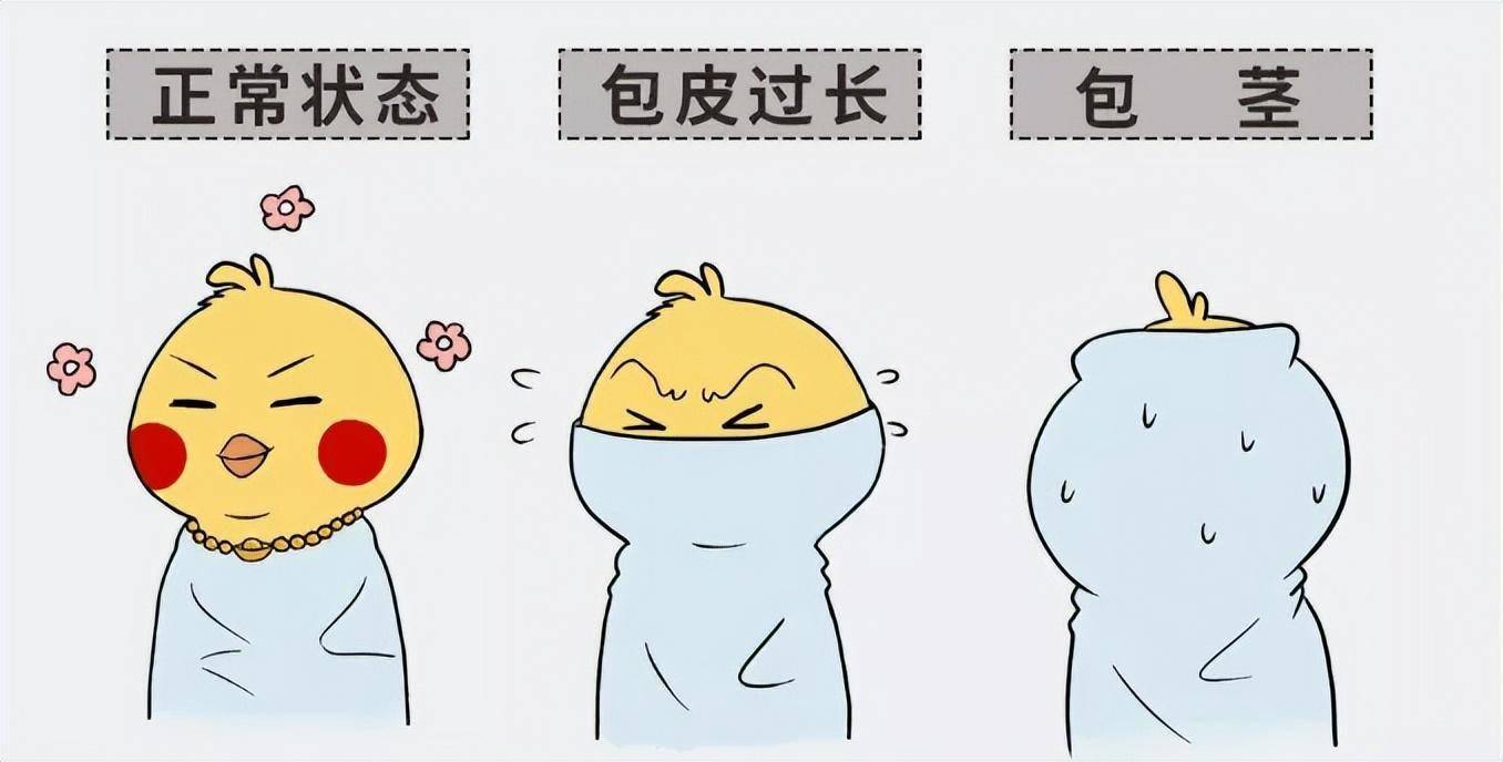 小男孩包皮过长和包茎如同给"小丁丁"穿上了厚厚的外套,危害多多:1