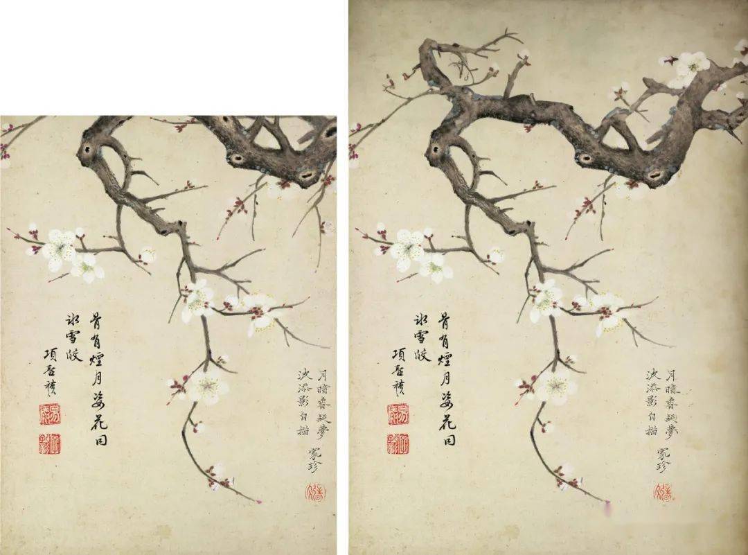 学会这一招,免费获得海量素材,收藏起来,总有机会能