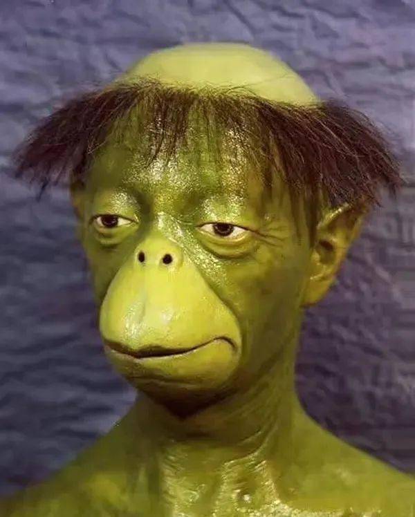 和《爆笑虫子》中呆萌的yellow"撞脸",不能说毫无关系,只能说一模一样