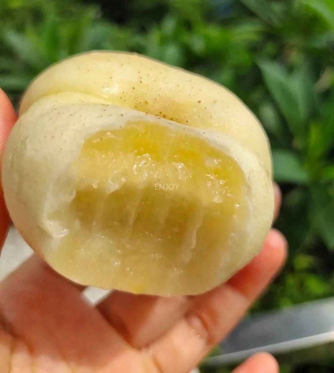 甜度1877口感宛如冰淇淋,好吃到哭00白蟠桃99是颜值口