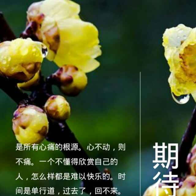 以”数字”赋能中国式现代化_建设_发展_国家