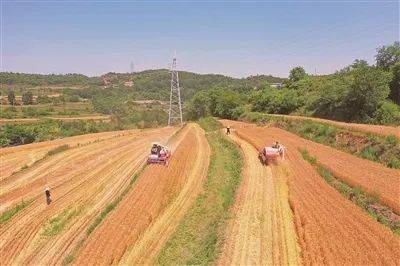 在襄汾县邓庄镇贾庄村,由省农业技术推广服务中心,山西农业大学,襄汾