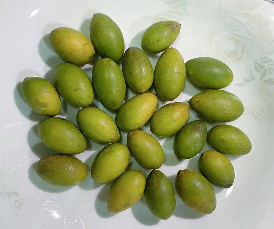 【养生】一枚小橄榄,养生功效多!食谱分享→_主治_用法_食物