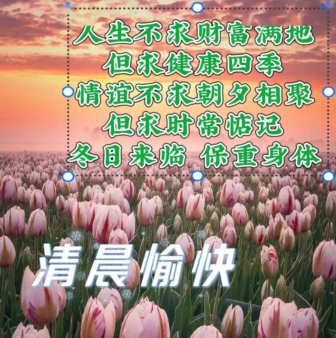 早安问候祝福精选图片，暖心的早上好问候语（早安问候图片带字温馨）