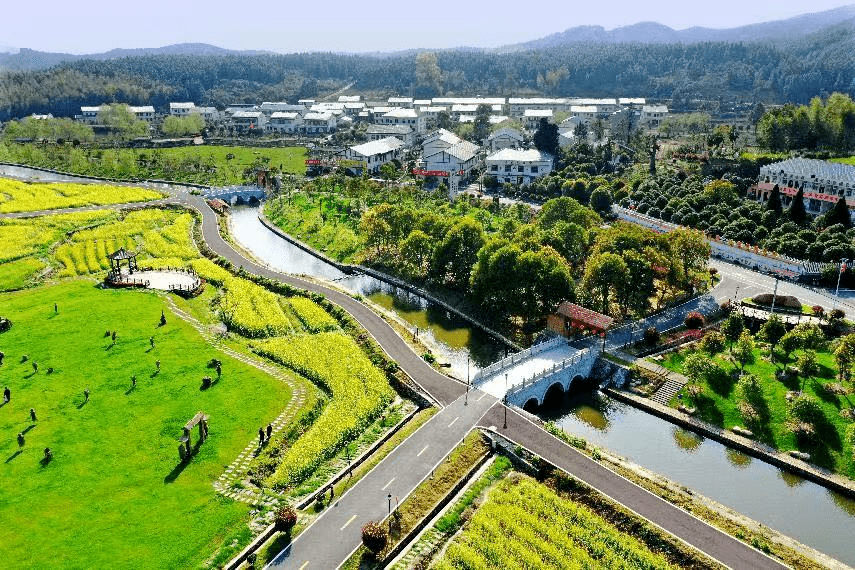 新余下保村花海门票图片