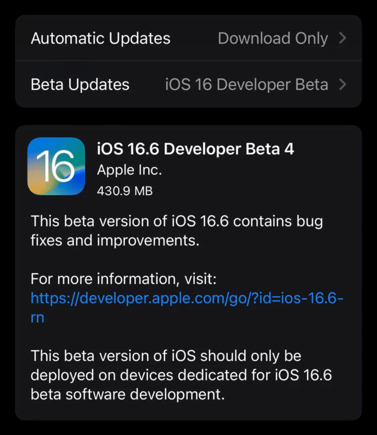 Ios 16 6 beta 4 