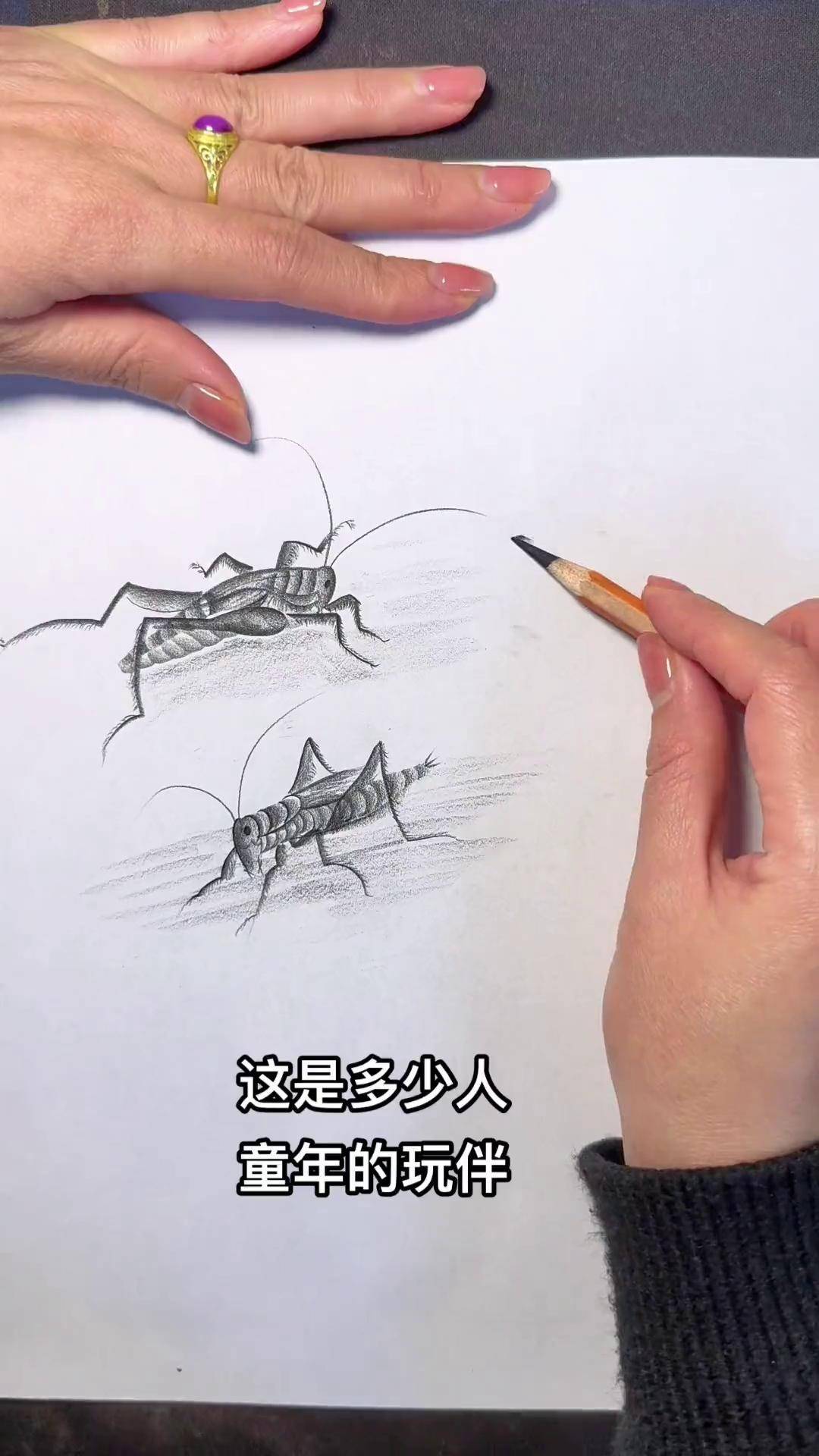 一分钟画蟋蟀零基础学画画 炭笔画 蟋蟀