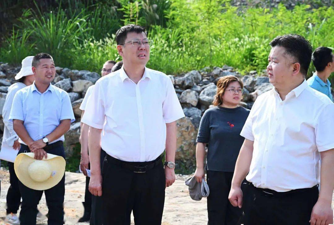 杨军在通山调研中央生态环保督察反馈问题整改工作时要求: 把整改成果