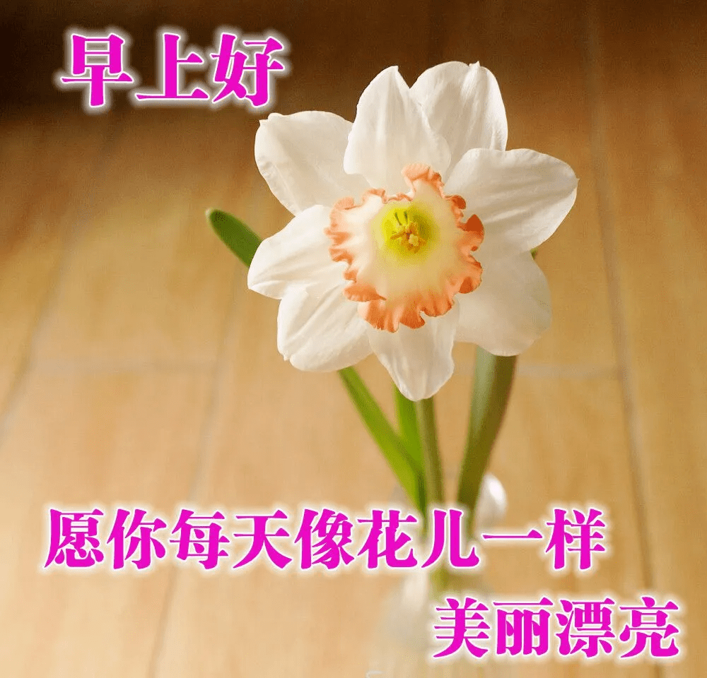 最新版最漂亮的早上好短语句子，祝福问候，开心幸福（早上好的暖心祝福句子）