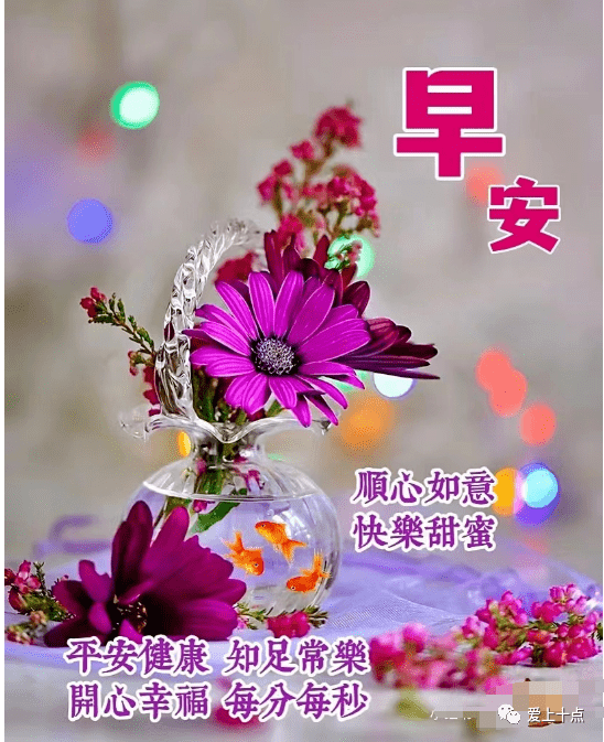 最新版最漂亮的早上好短语句子，祝福问候，开心幸福（早上好的暖心祝福句子）