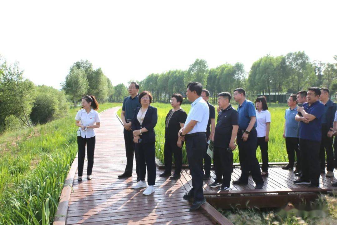 水村,雙路鎮程子坪村,王村鎮下王村,神峪溝鄉神峪溝村,鵝城鎮王端莊村