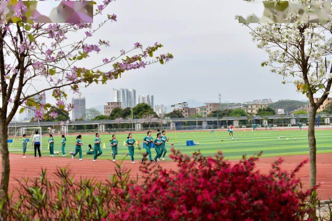 花都区秀全中学图片