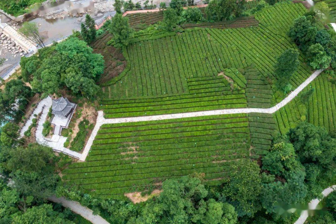 在世界茶旅古镇,这5个地方你一定要知道_五峰_渔洋关镇_休闲