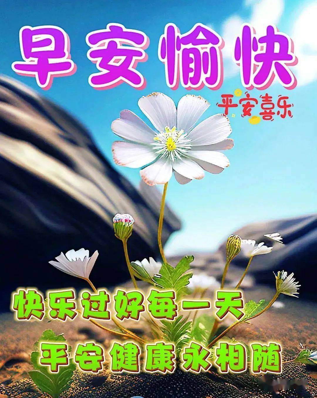 新版非常好看的早安图片大全,祝福事事顺心,快乐相随_问候_平安_吉祥