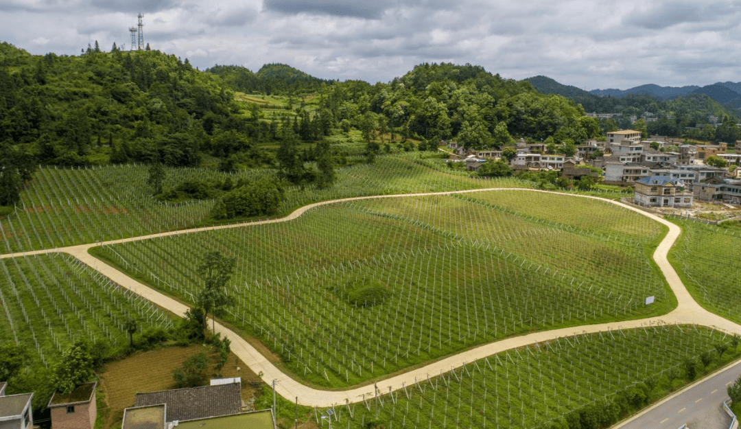 示范试点系列宣传报道——乌当区百宜镇红旗村_发展_实训基地_集体
