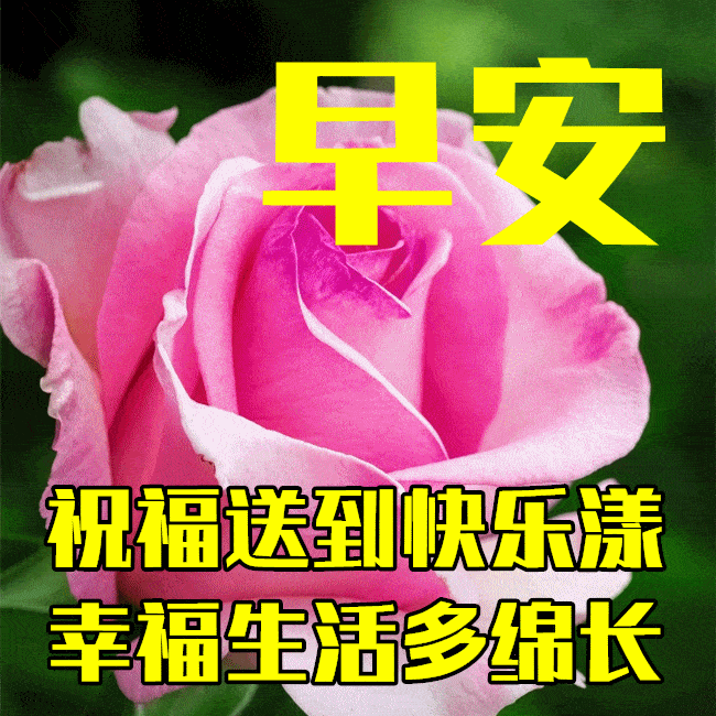 7月1日最漂亮早上好动态表情图片大全,早晨好动图美图大全_夏日炎炎
