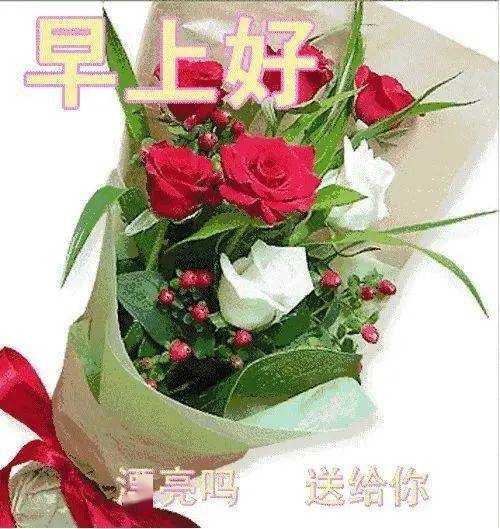 用心领悟宇宙浩瀚,用脑思索动静哲理,手机接收祝福微信,早上好,祝你