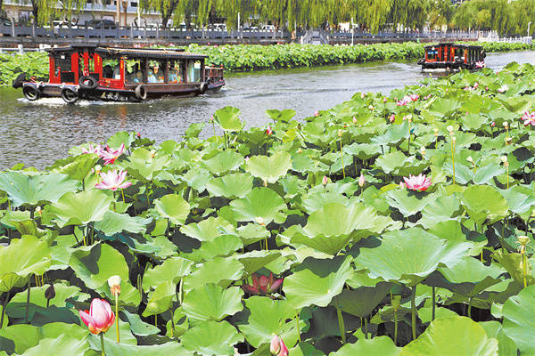 许昌护城河荷花图片图片