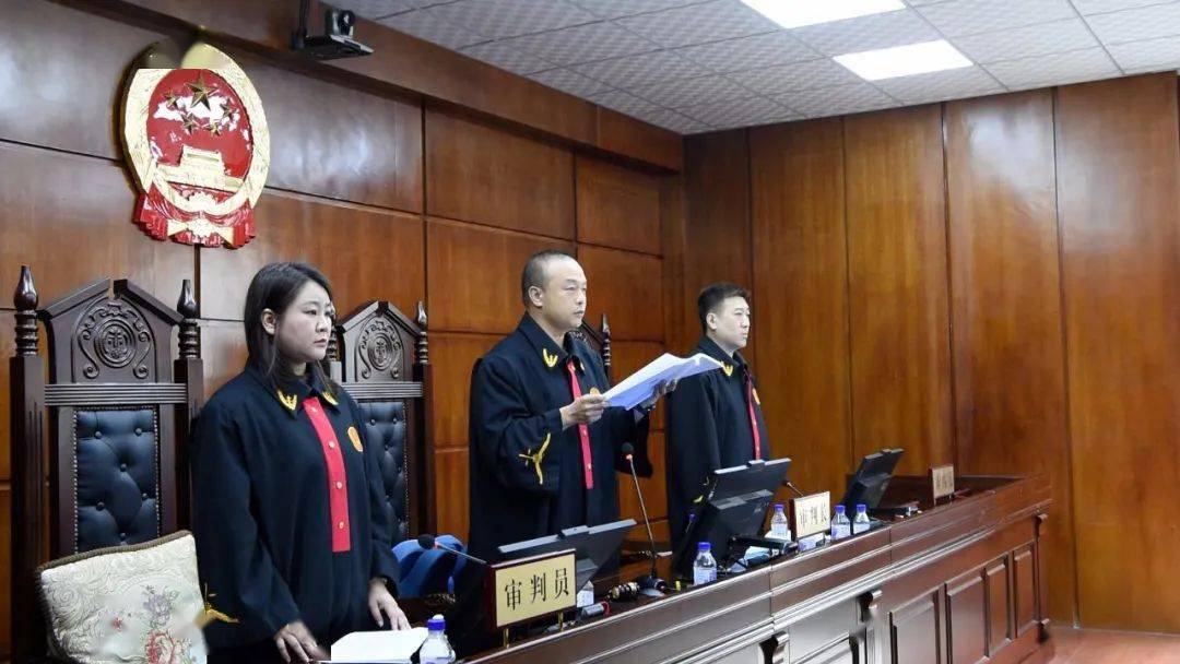 四平法院公开宣判李某等9人恶势力组织犯罪一案_铁西区_未成年人_活动