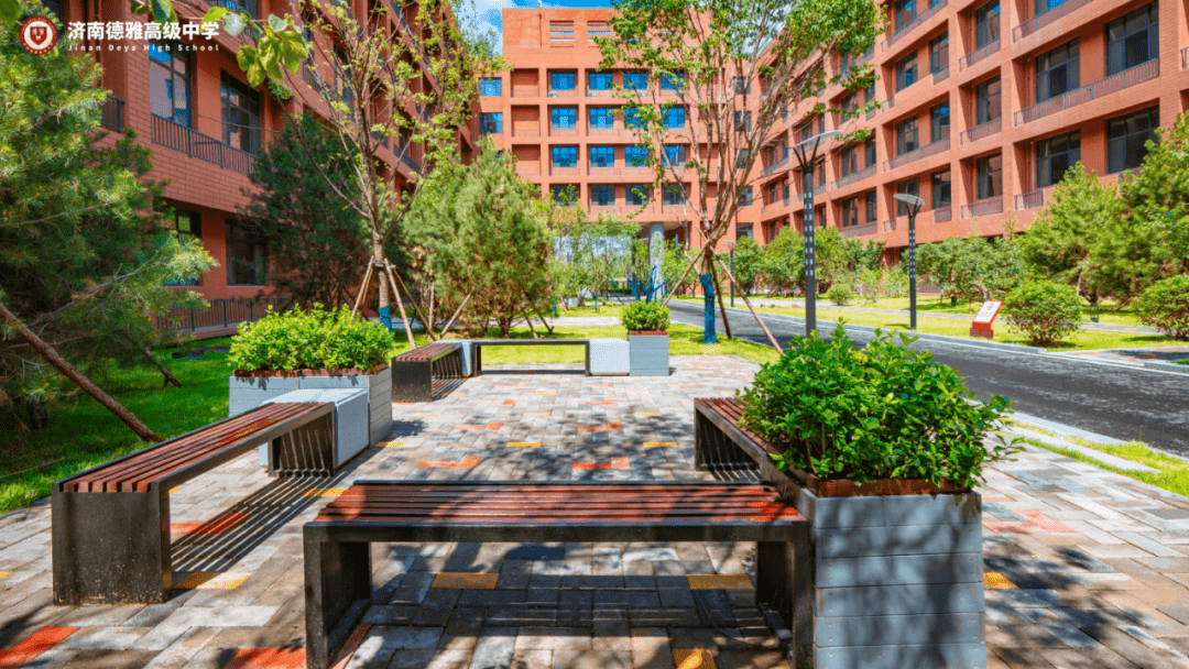 计划400名!济南德雅高级中学招生来了!_管理_发展_国际