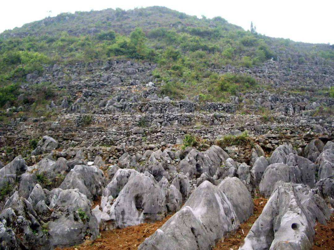 高考地理中的石漠化,高考地理中的土壤侵蚀_地表_土地_地区