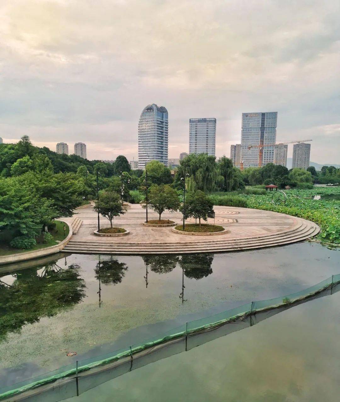 【图说·绍兴】梅龙湖的早晨_摄影_游泳_开心