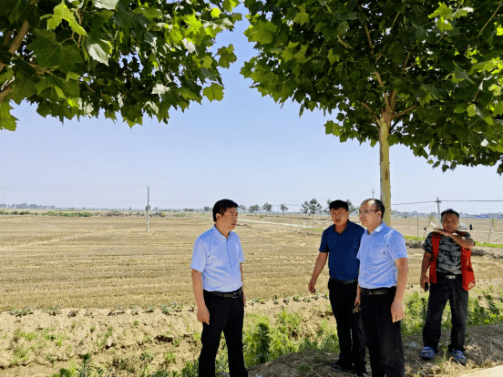 河南杞县湖岗乡:做好"四个一"工作 推动经济社会高质量发展_活动_精神