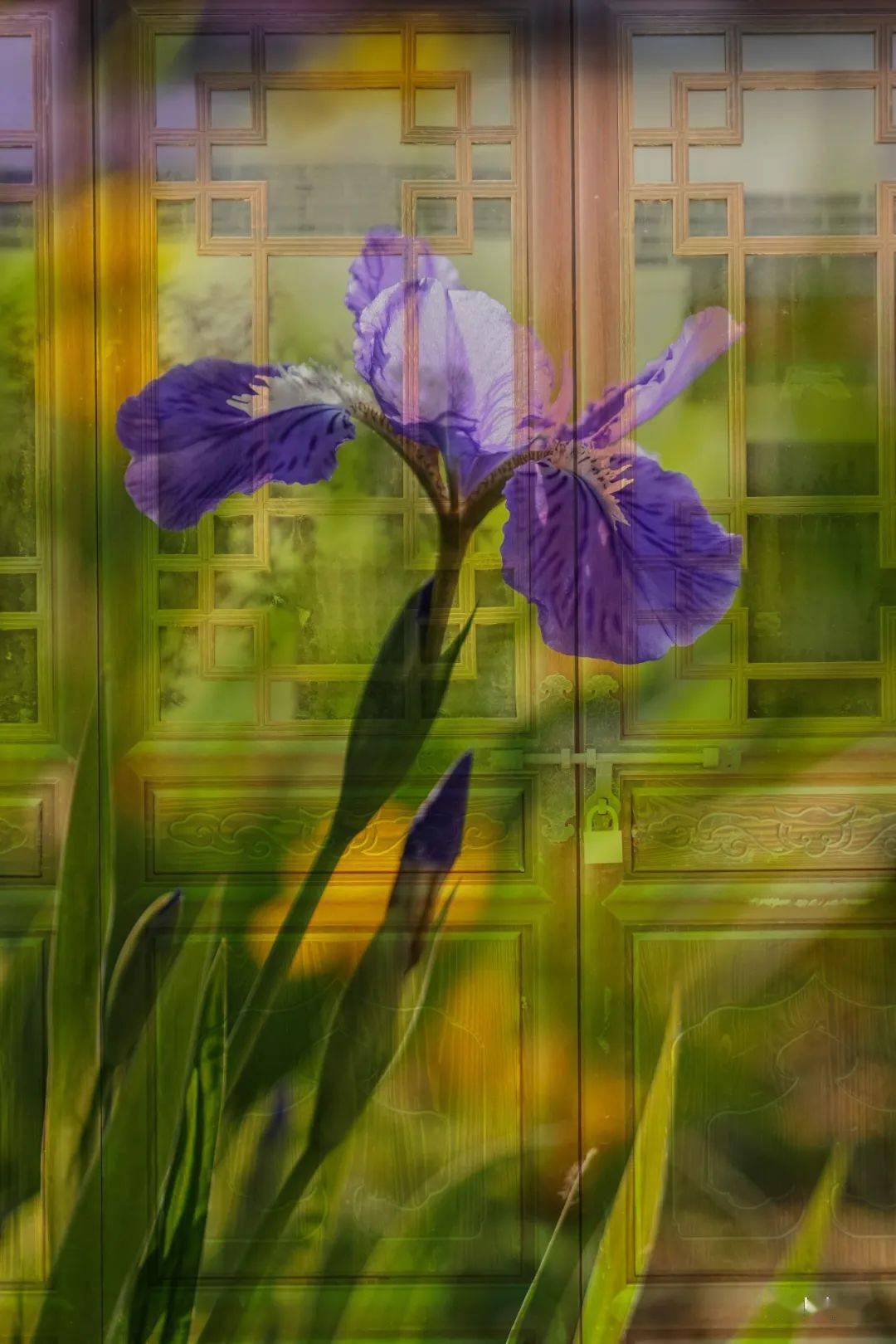 张艳晖《相映》周继英《满庭芳华》周继英《轻歌