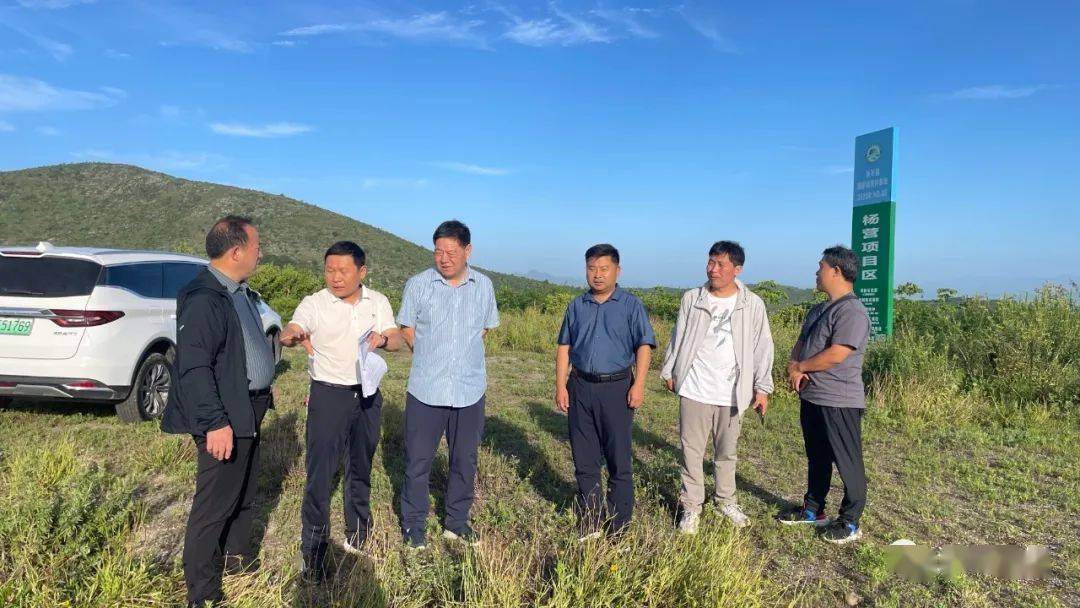 市林业局莅淅调研林长制工作_指导_淅川_建设